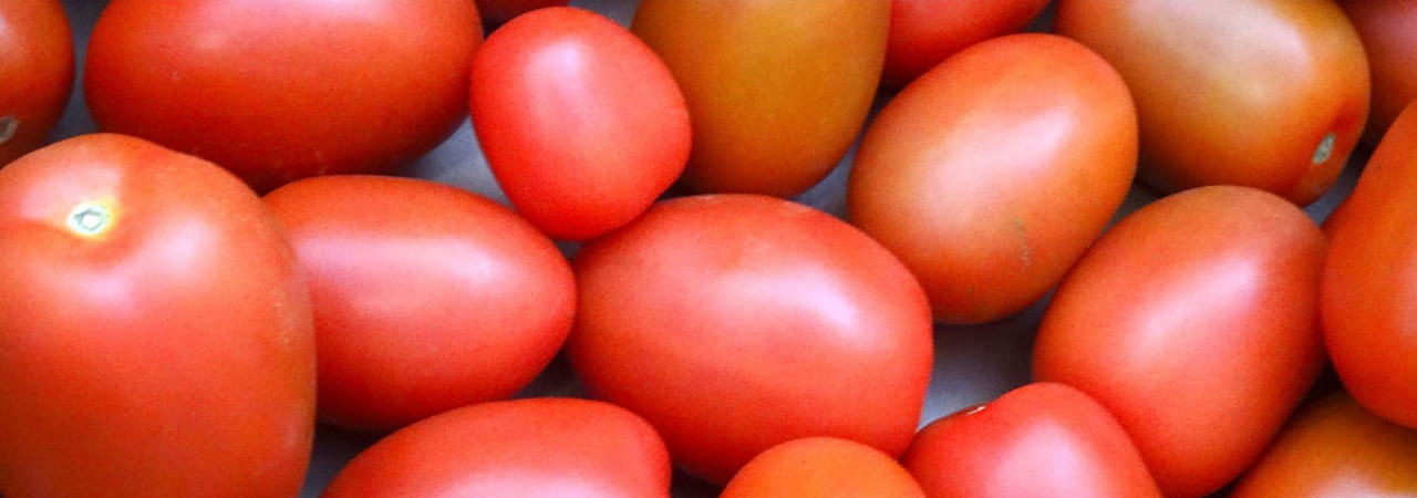 Biodynamic Tomatoes